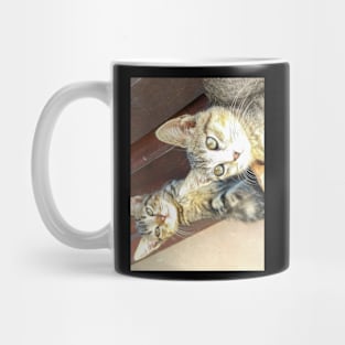 My gato Mug